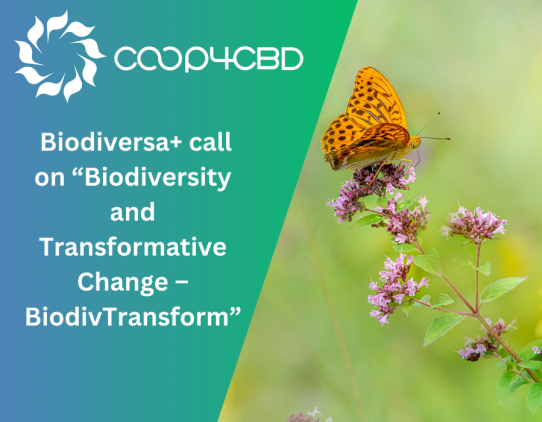 Featured image for New Research Call: Biodiversa+ Call on “Biodiversity and Transformative Change – BiodivTransform”