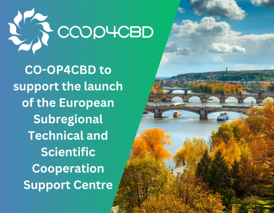 Featured image for CO-OP4CBD to support the launch of the European Subregional Technical and Scientific Cooperation Support Centre