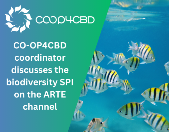 Featured image for CO-OP4CBD coordinator Constance Laureau discusses the biodiversity Science-Policy Interface on the ARTE channel