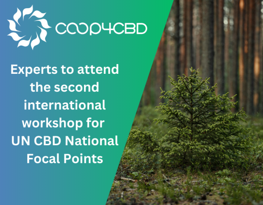 Featured image for Experts to attend the second international workshop for UN CBD National Focal Points