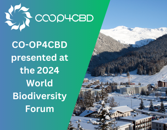 Featured image for CO-OP4CBD Presented at the 2024 World Biodiversity Forum