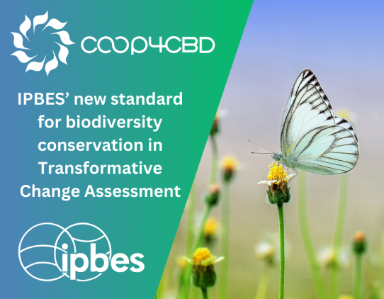 Featured image for IPBES sets a new standard for biodiversity conservation in its Transformative Change Assessment