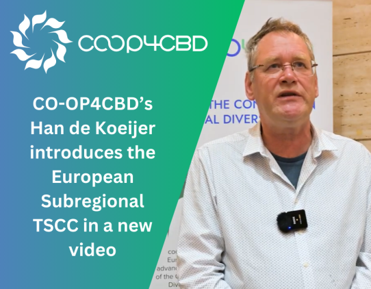 Featured image for CO-OP4CBD’s Han de Koeijer introduces the European Subregional TSCC in a new video