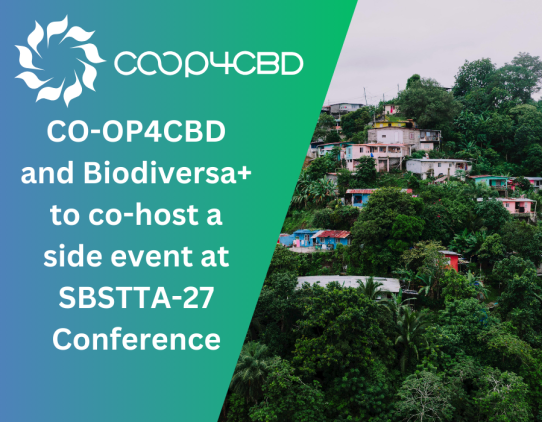 Featured image for CO-OP4CBD and Biodiversa+ to co-host a side event at SBSTTA-27 Conference