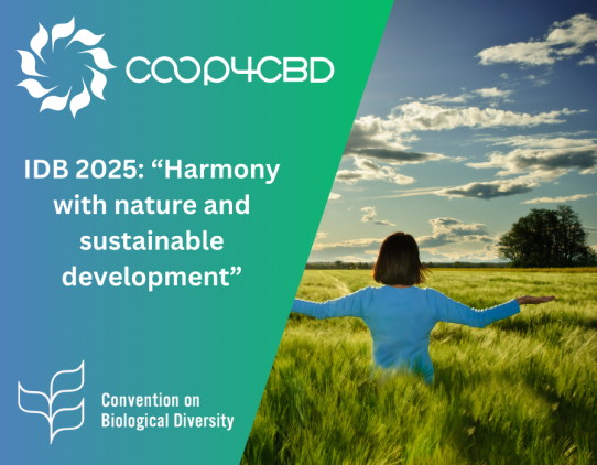 Featured image for International Day for Biodiversity 2025: “Harmony with nature and sustainable development”