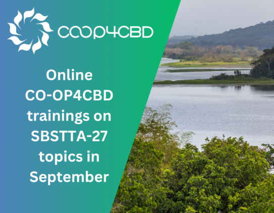 Featured image for CO-OP4CBD to organise online training sessions on SBSTTA-27 agenda items