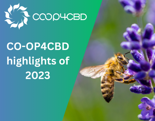 Featured image for CO-OP4CBD highlights of 2023