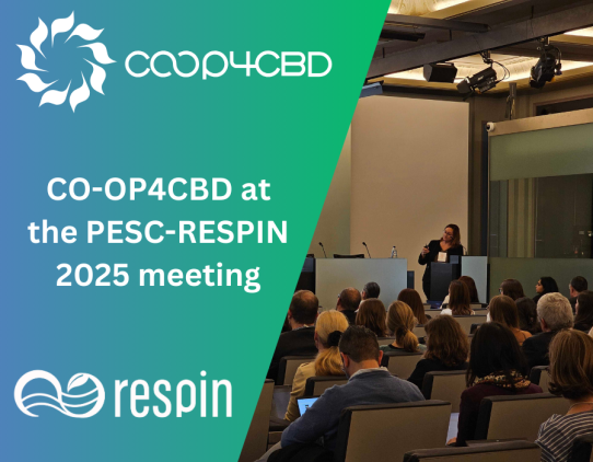Featured image for CO-OP4CBD with two showcases at the PESC-RESPIN 2025 meeting