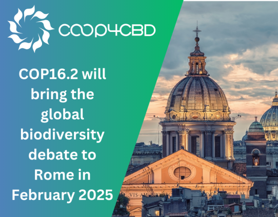 Featured image for COP16.2 will bring the global biodiversity debate to Rome in February 2025