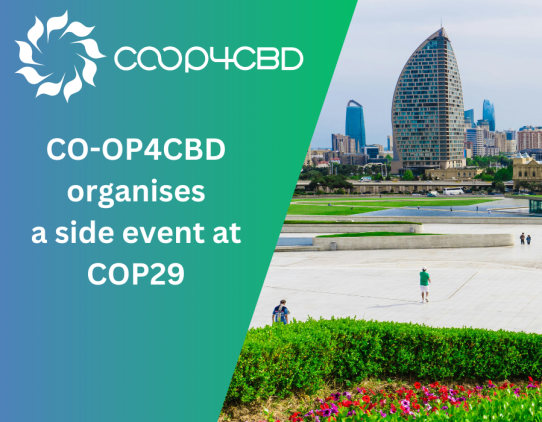 Featured image for CO-OP4CBD Joins the Global Conversation: Side Event on Open Science and Science Communication in the Science-Policy Interface at COP29