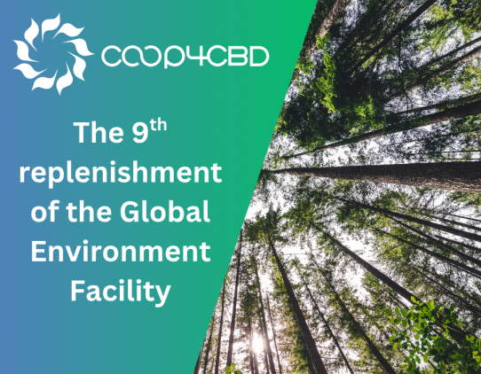 Featured image for The Global Environment Facility bolstered by new funding in pursuit of 2030 biodiversity targets
