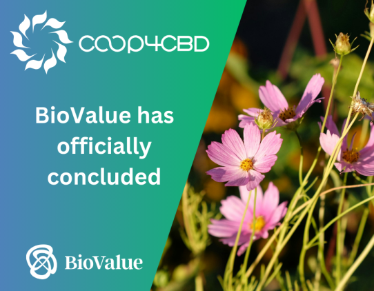 Featured image for BioValue has officially concluded