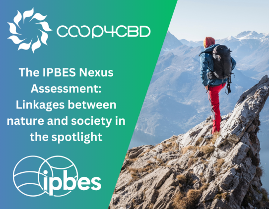 Featured image for The IPBES Nexus Assessment maps the linkages between the world’s most pressing crises