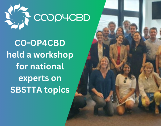 Featured image for CO-OP4CBD held a workshop for national experts on SBSTTA topics