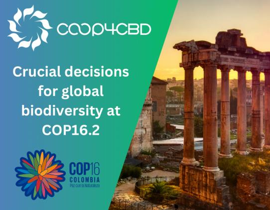 Featured image for UN CBD COP16’s resumption in Rome concludes with crucial decisions on biodiversity financing and monitoring