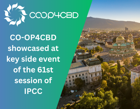 Featured image for CO-OP4CBD Showcased at Key Side Event of the 61st Session of IPCC