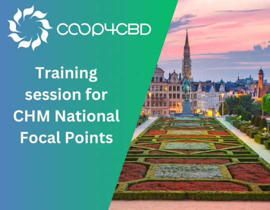 Featured image for The National Focal Points of the CBD Clearing House Mechanism prepare for a CO-OP4CBD’s training session in Brussels