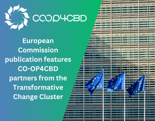 Featured image for CO-OP4CBD partners from the Transformative Change Cluster featured in European Commission publication