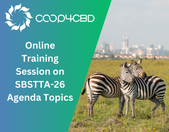 Featured image for Online Training Session on SBSTTA-26 Agenda Topics