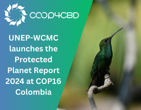 Featured image for UNEP-WCMC launches the Protected Planet Report 2024 at COP16 Colombia