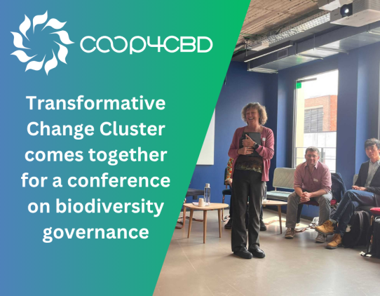 Featured image for The Transformative Change Cluster comes together for a conference on biodiversity governance