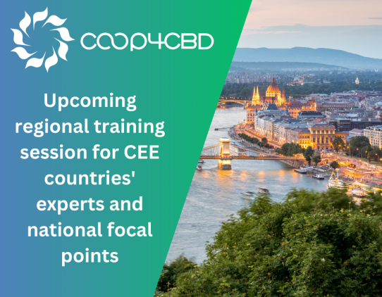 Featured image for Save the date: Upcoming regional training session for CEE countries' experts and national focal points to take place on 25-26 April in Budapest