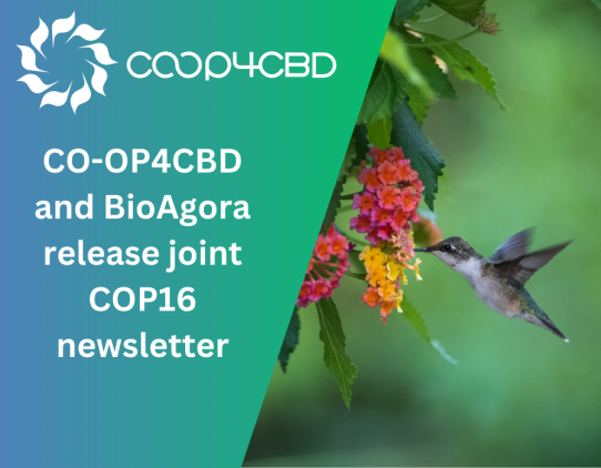 Featured image for CO-OP4CBD and BioAgora release joint COP16 newsletter