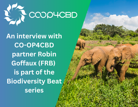 Featured image for Biodiversity Beat: How CO-OP4CBD Makes a Difference in Overcoming the Challenges of Expert Involvement in CBD Processes