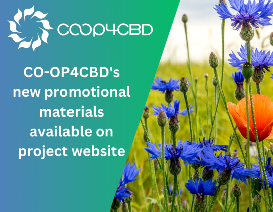 Featured image for CO-OP4CBD's new promotional materials available on project website
