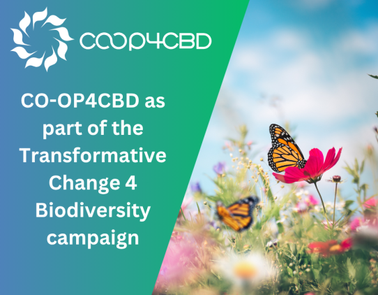 Featured image for #TransformativeChange4Biodiversity: 23 EU-funded projects mark the 2025 International Biodiversity Day in joint campaign