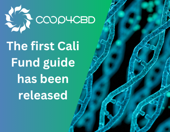 Featured image for The first guide for the Cali Fund has been released