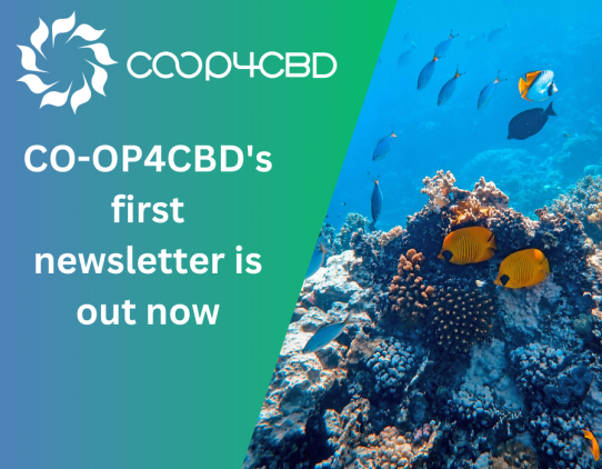 Featured image for CO-OP4CBD's first newsletter is out now