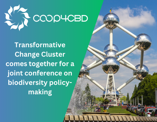 Featured image for Upcoming joint conference on biodiversity policy-making by the Transformative Change Cluster