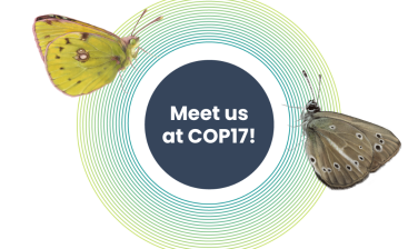 Featured image for EU Science for Biodiversity at COP17: five European initiatives join forces in Yerevan