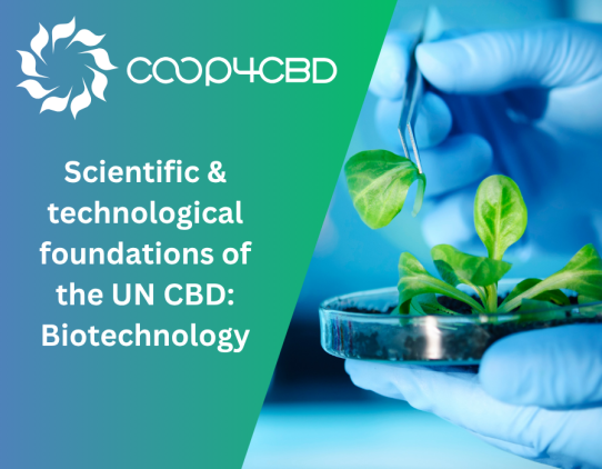 Featured image for Scientific and Technological Foundations of the UN CBD: Biotechnology