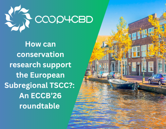Featured image for How can conservation research support the European Subregional TSCC?: An ECCB’26 roundtable