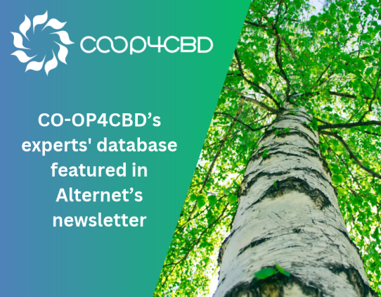 Featured image for CO-OP4CBD’s experts' database featured in Alternet’s newsletter