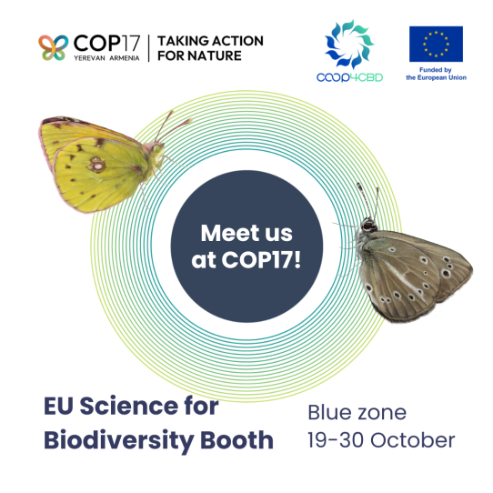 Featured image for EU Science for Biodiversity at COP17: five European initiatives join forces in Yerevan