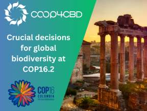 Featured image for UN CBD COP16’s resumption in Rome concludes with crucial decisions on biodiversity financing and monitoring