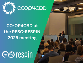 Featured image for CO-OP4CBD with two showcases at the PESC-RESPIN 2025 meeting