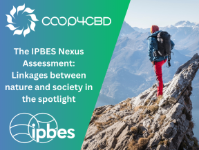 Featured image for The IPBES Nexus Assessment maps the linkages between the world’s most pressing crises