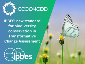 Featured image for IPBES sets a new standard for biodiversity conservation in its Transformative Change Assessment