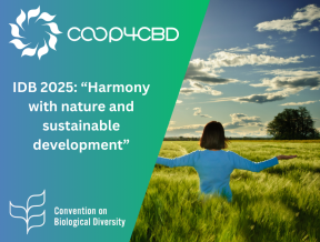 Featured image for International Day for Biodiversity 2025: “Harmony with nature and sustainable development”