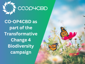 Featured image for #TransformativeChange4Biodiversity: 23 EU-funded projects mark the 2025 International Biodiversity Day in joint campaign
