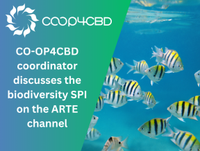 Featured image for CO-OP4CBD coordinator Constance Laureau discusses the biodiversity Science-Policy Interface on the ARTE channel