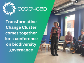 Featured image for The Transformative Change Cluster comes together for a conference on biodiversity governance