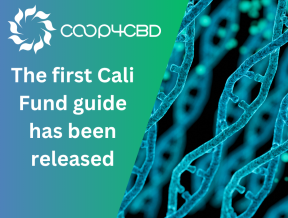 Featured image for The first guide for the Cali Fund has been released