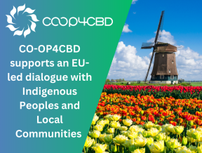 Featured image for CO-OP4CBD supports dialogue with Indigenous Peoples and Local Communities