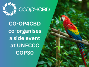 Featured image for CO-OP4CBD co-organises a side event at UNFCCC COP30