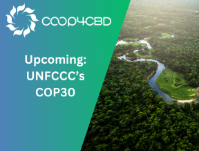 Featured image for Upcoming: UNFCCC’s COP30
